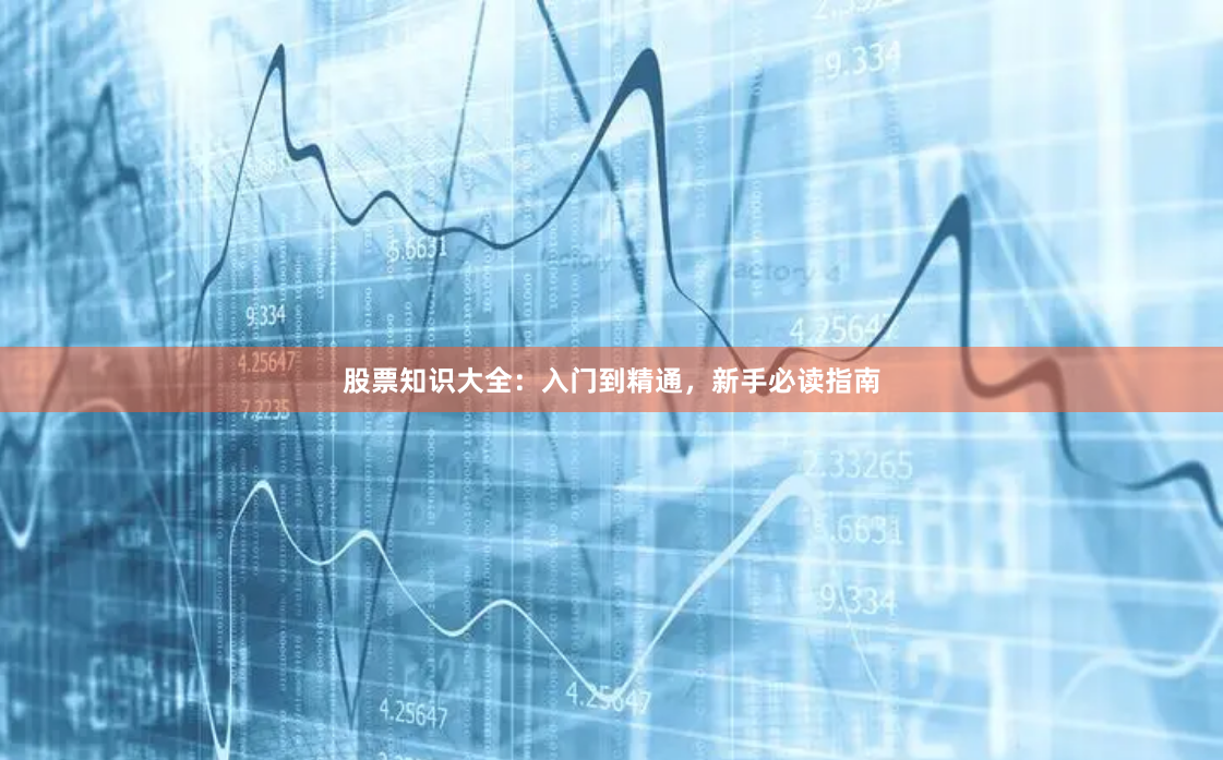 股票知识大全：入门到精通，新手必读指南