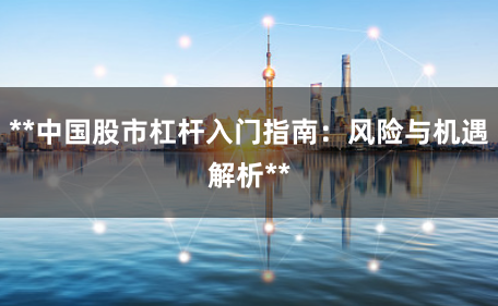 **中国股市杠杆入门指南：风险与机遇解析**